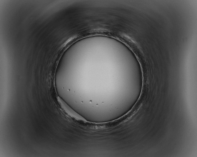 X0000086961313200705071328