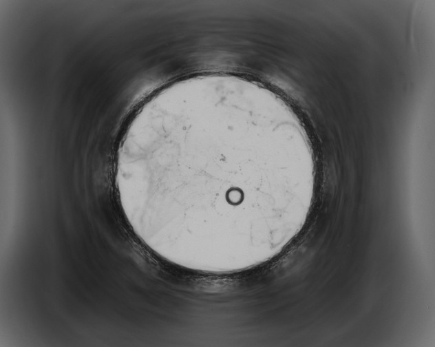 X0000086961314200705071328