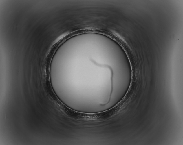 X0000086961315200705071328