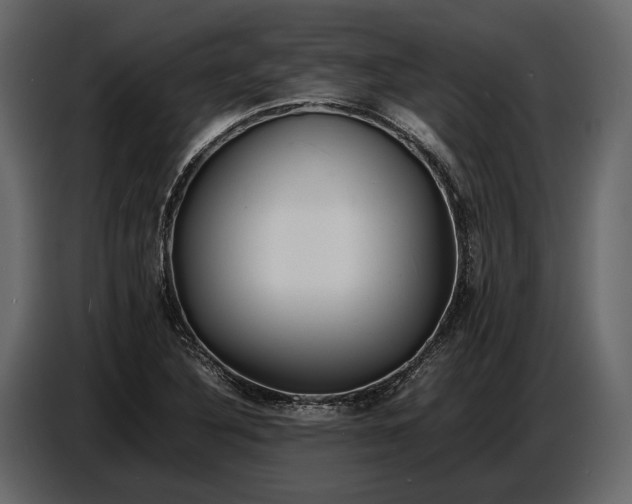 X0000086961316200705071328