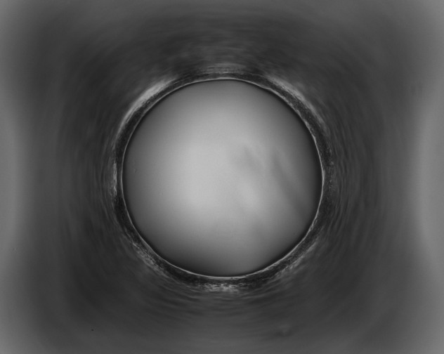 X0000086961317200705071328