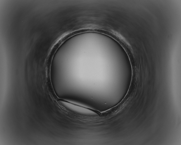 X0000086961318200705071328