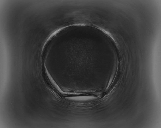 X0000086961319200705071328