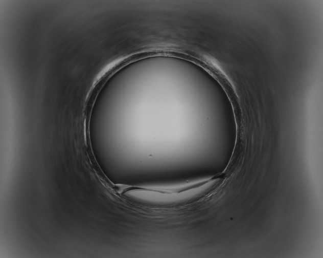 X0000086961320200705071328