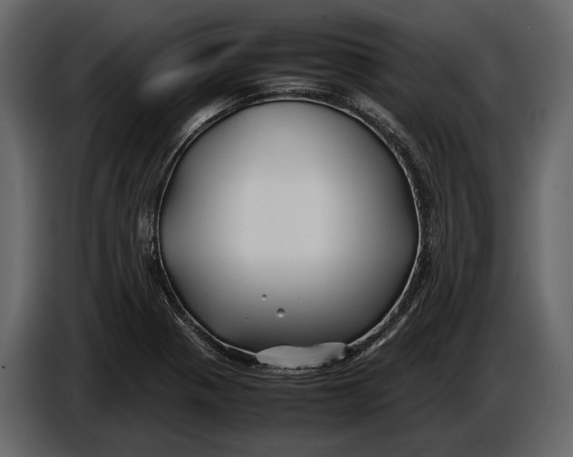 X0000086961321200705071328