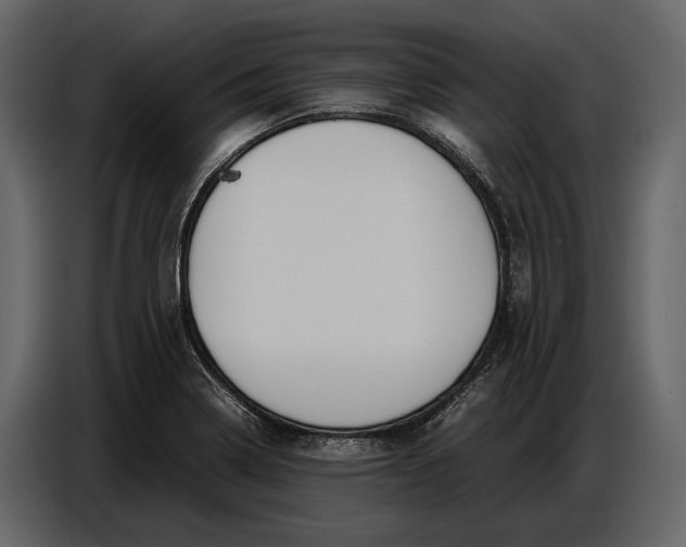 X0000086961322200705071328