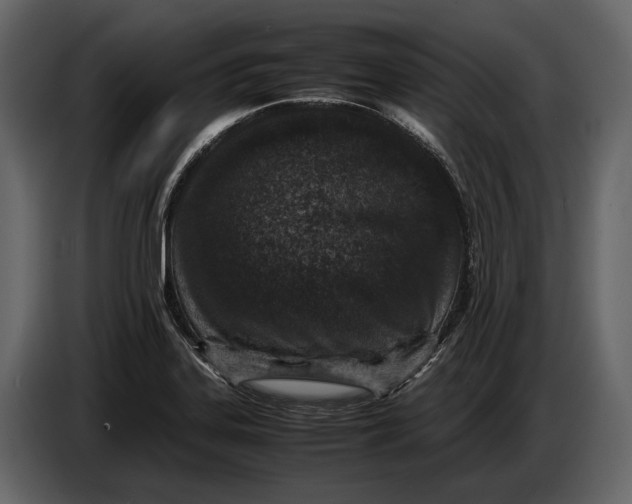 X0000086961323200705071328