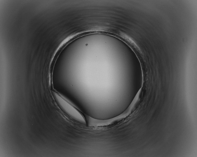 X0000086961324200705071328