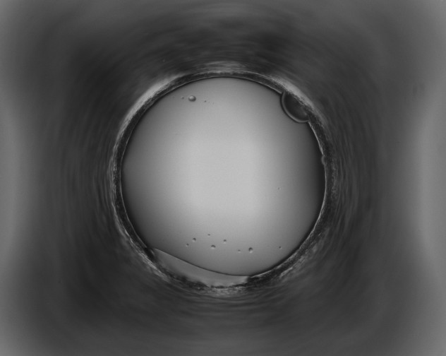 X0000086961325200705071328