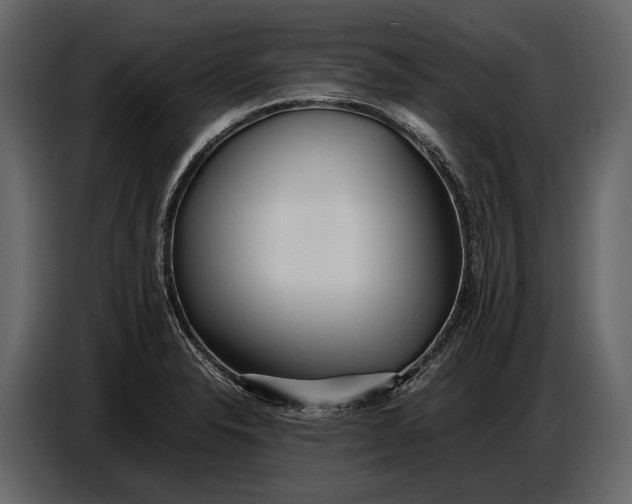 X0000086961326200705071328