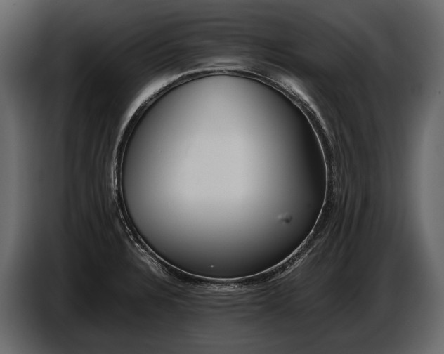 X0000086961328200705071328