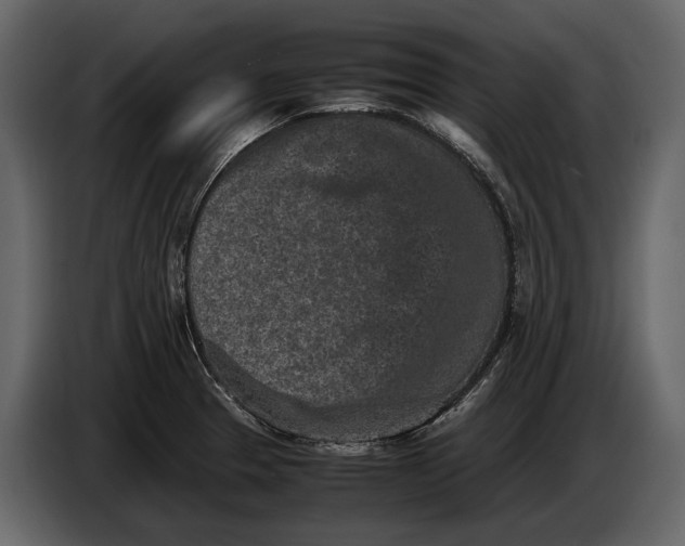 X0000086961329200705071328