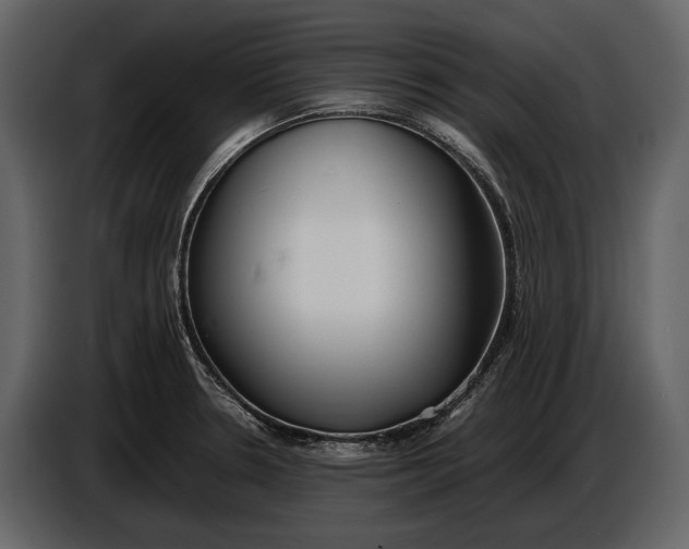 X0000086961330200705071328