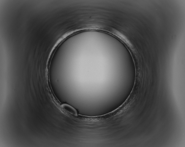 X0000086961332200705071328