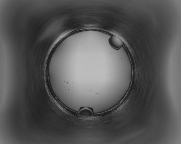X0000086961333200705071328