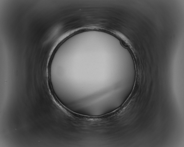 X0000086961335200705071328