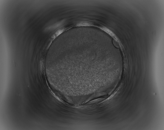 X0000086961337200705071328