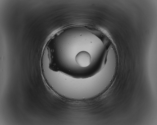 X0000086961338200705071328