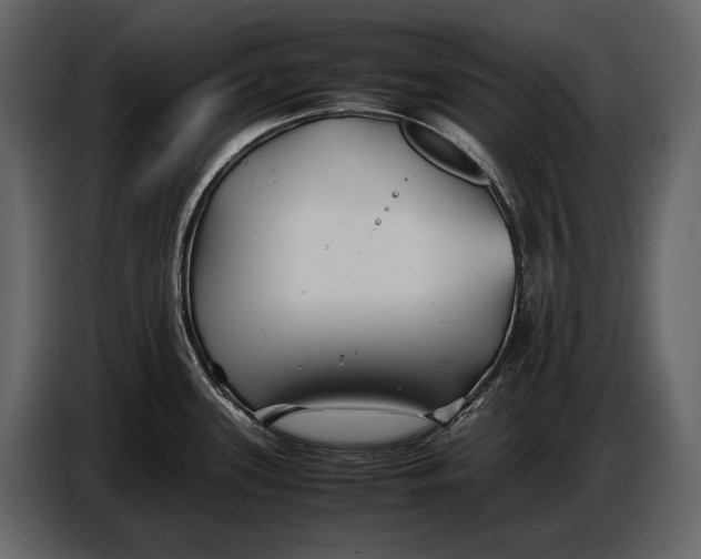 X0000086961339200705071328