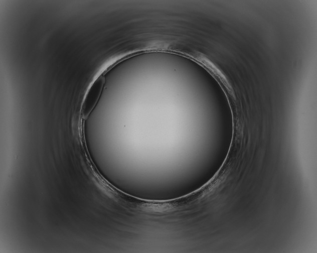 X0000086961340200705071328