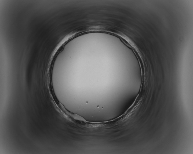 X0000086961341200705071328
