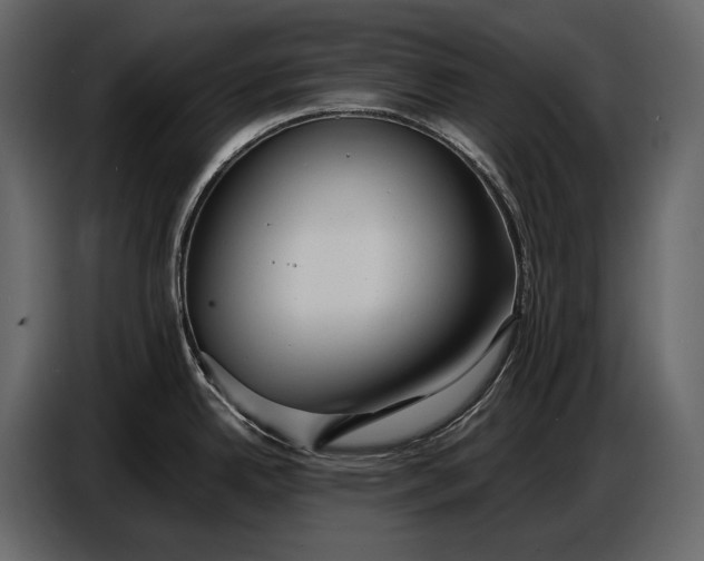 X0000086961342200705071328