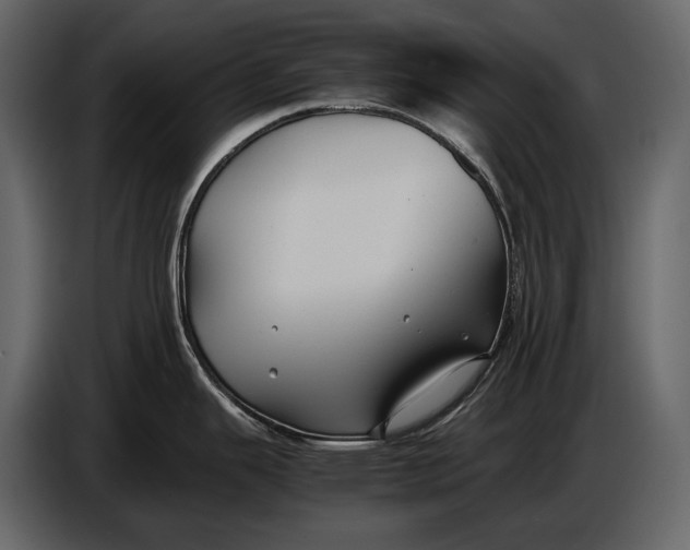 X0000086961343200705071328