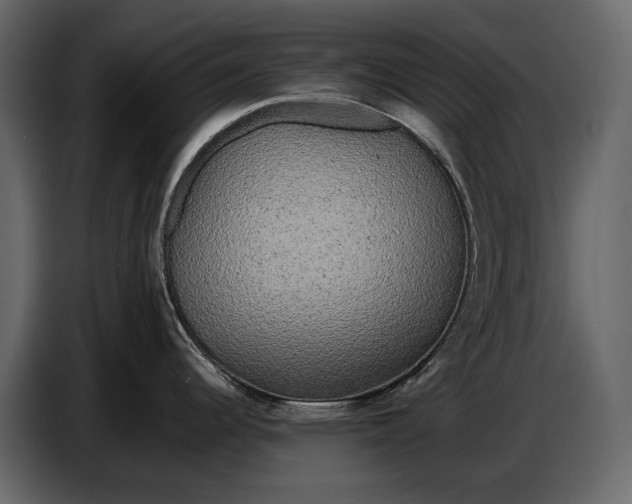 X0000086961344200705071328