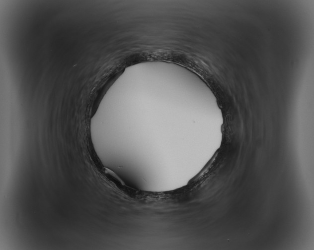 X0000086961345200705071328