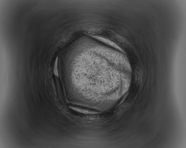X0000086961346200705071328