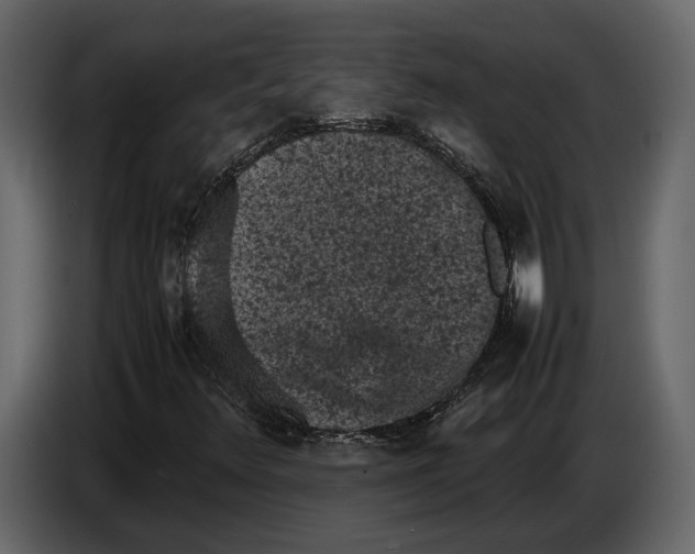 X0000086961348200705071327