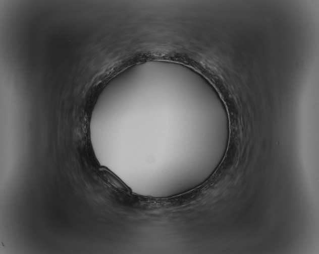 X0000086961349200705071327