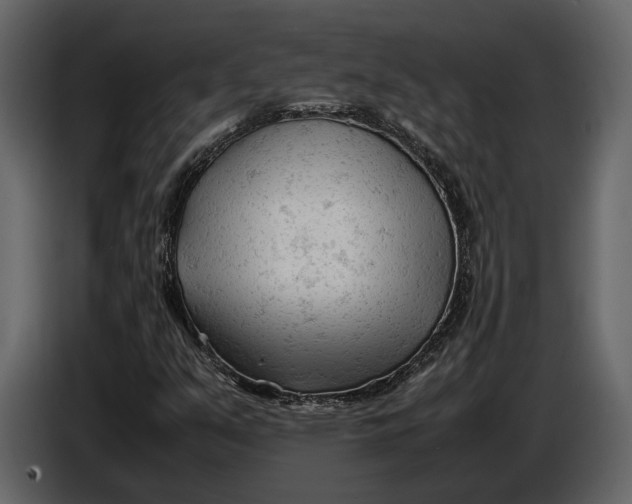 X0000086961351200705071327