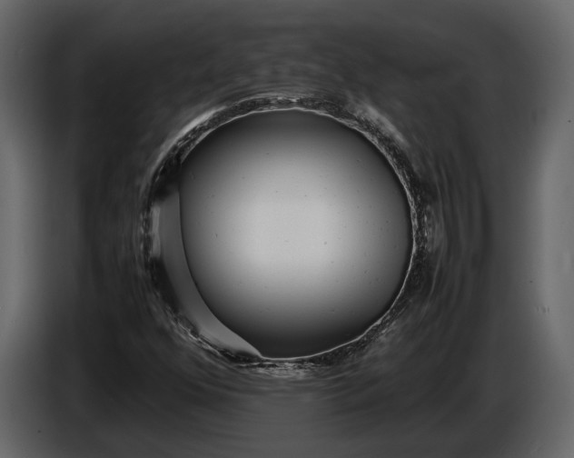 X0000086961352200705071327
