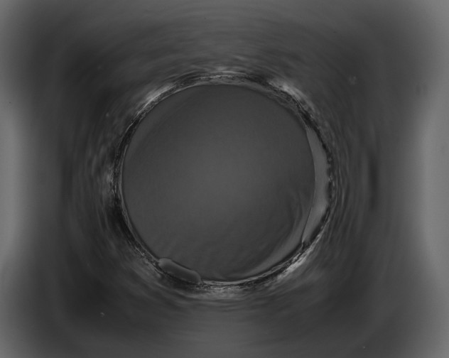 X0000086961353200705071327