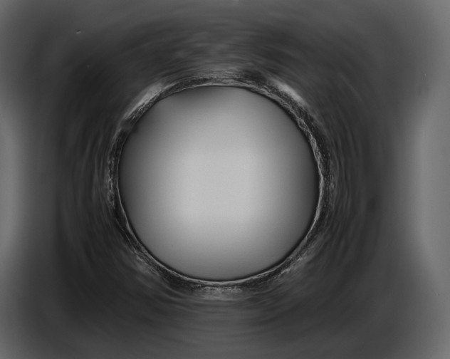 X0000086961354200705071327