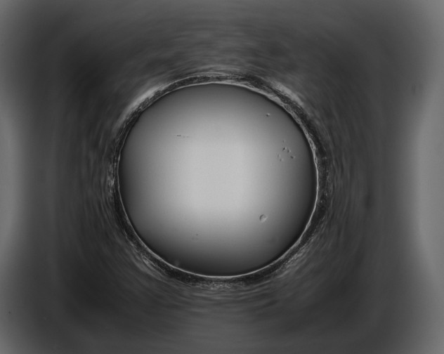 X0000086961355200705071327
