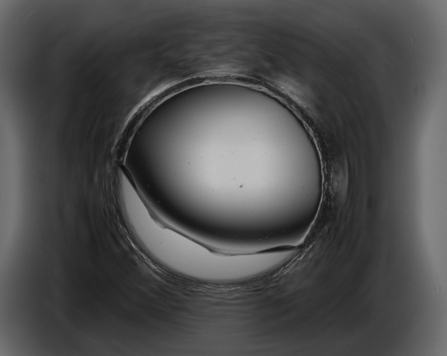 X0000086961356200705071327