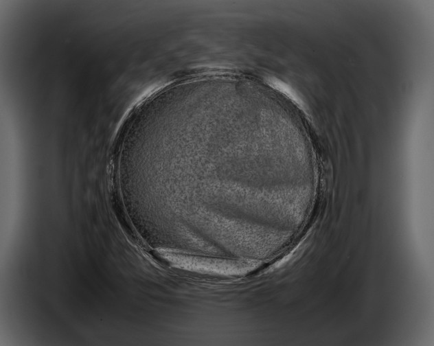 X0000086961357200705071327
