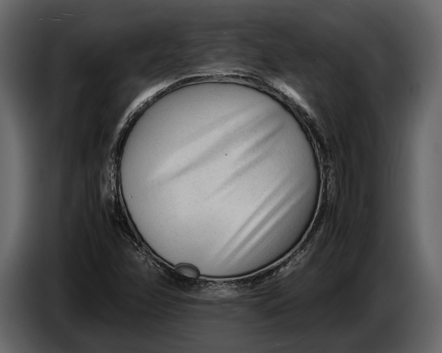 X0000086961358200705071327