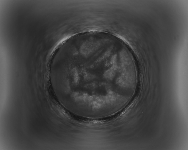 X0000086961359200705071327