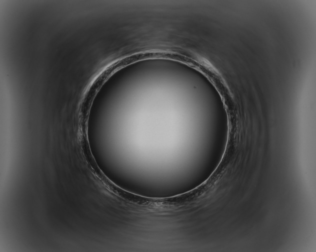 X0000086961360200705071327