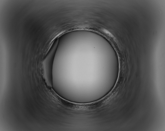 X0000086961361200705071327