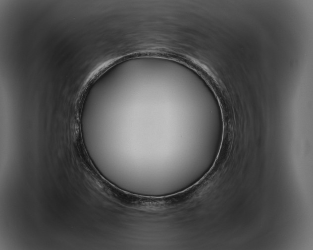 X0000086961363200705071327