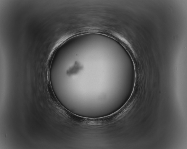 X0000086961365200705071327