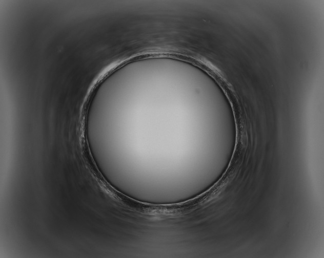 X0000086961366200705071327