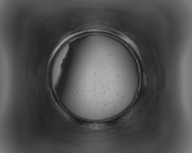 X0000086961368200705071327