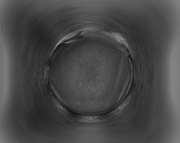 X0000086961369200705071327