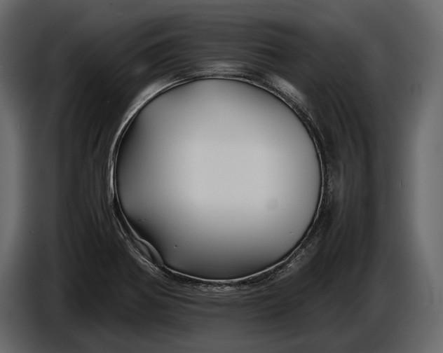 X0000086961370200705071327