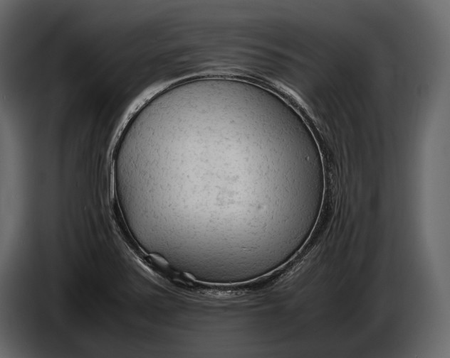 X0000086961371200705071327